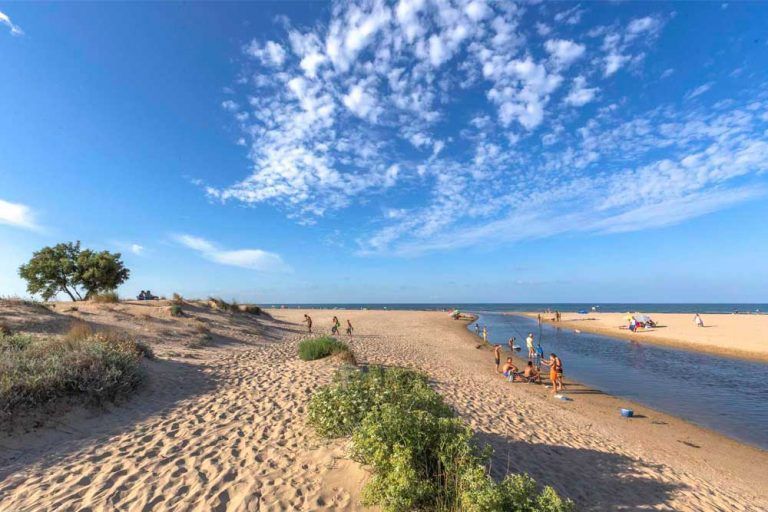 Dunas de playa Les Deveses - Denia - Alicante
